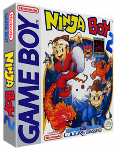 Ninja Boy 2